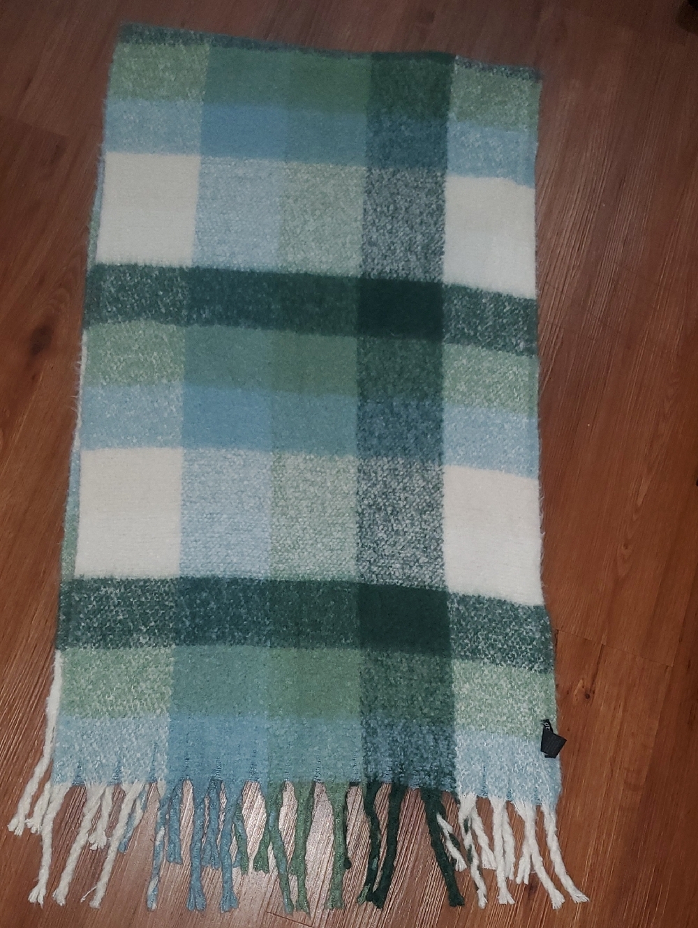 Steve Madden Soft Plush Scarf in Mint and Light Blue